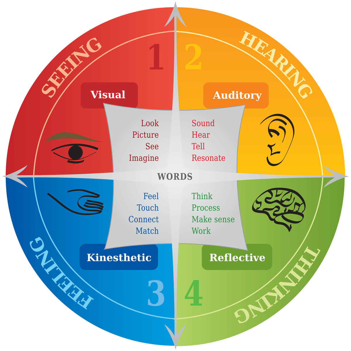 Learning Types: Seeing, Hearing, Thinking, Feeling